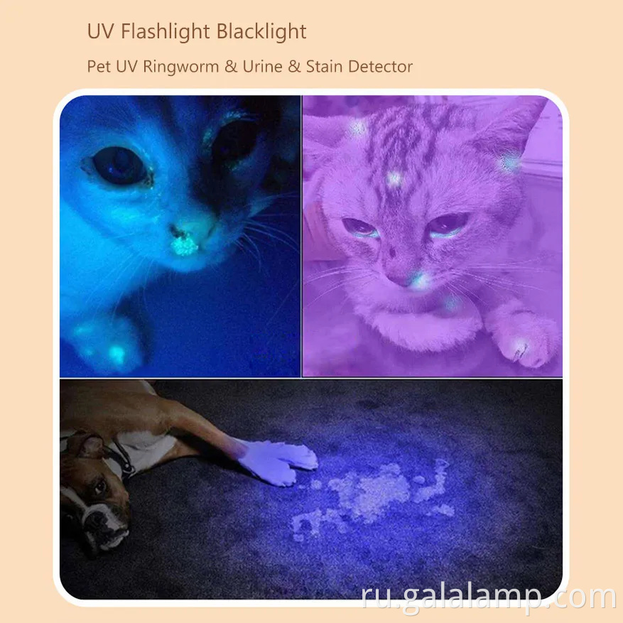 Портативный портативный факел для устранения пятен мочи собаки